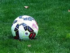 秦岭核桃产,业获外汇支,跨境金融助,开云体育,开云体育官网,开云体育app,开云体育平台,KAIYUN,SPORTS,kaiyun登录入口