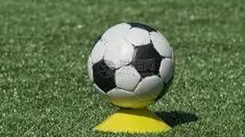 Kaiyun开云官方网站 资讯 121210 x7o