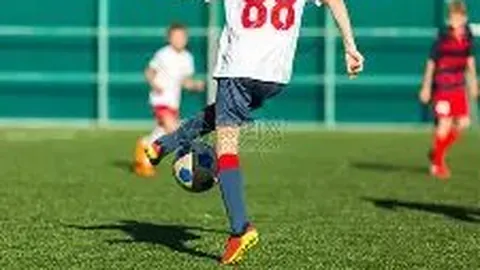 Kaiyun开云官方网站 资讯 100246 m63