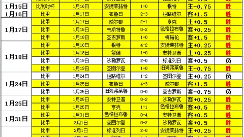 “2025年3月12日南昌战罢：全国击剑冠军赛重剑分站赛拉开新赛季序幕”