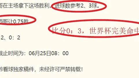 开云官方网站 141102