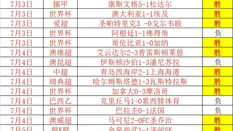 开云官方网站 141519 6