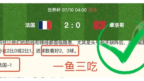 开云官方网站 144024 0